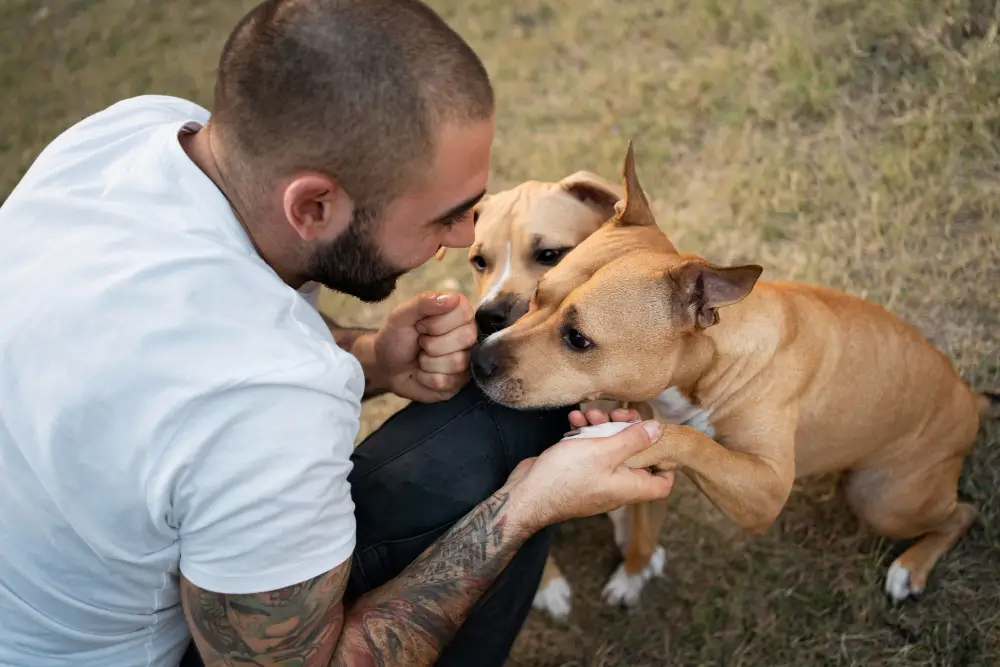 Rescuing & Supporting Animals